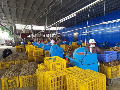 節(jié)氣不等人，春日勝黃金 把握旅游業(yè)務(wù)的季節(jié)脈搏